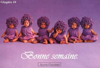 je revient dans deux semaines,gros bizou et surtout laisse moi un com mes amis(ies) hahahahaha 